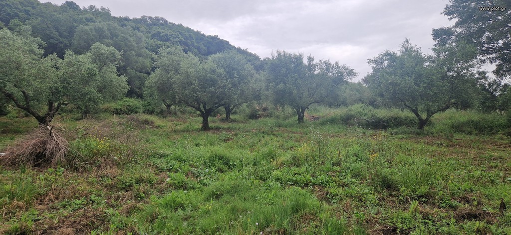 Αγροτεμάχια 3.402 τ.μ. πρός πώληση, Μεσσηνία, Βουφράδα