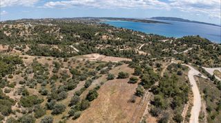 Αγροτεμάχια 8.000 τ.μ. για πώληση, Αργολίδα, Κρανίδι-thumb-19