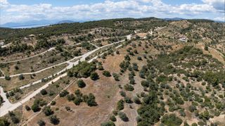 Αγροτεμάχια 8.000 τ.μ. για πώληση, Αργολίδα, Κρανίδι-thumb-13