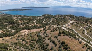 Αγροτεμάχια 8.000 τ.μ. για πώληση