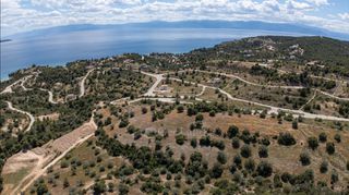 Αγροτεμάχια 8.000 τ.μ. για πώληση, Αργολίδα, Κρανίδι-thumb-17