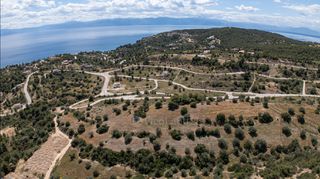 Αγροτεμάχια 8.000 τ.μ. για πώληση, Αργολίδα, Κρανίδι-thumb-12