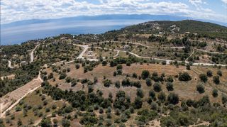 Αγροτεμάχια 8.000 τ.μ. για πώληση, Αργολίδα, Κρανίδι-thumb-6