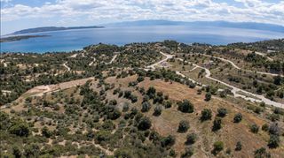 Αγροτεμάχια 8.000 τ.μ. για πώληση, Αργολίδα, Κρανίδι-thumb-8