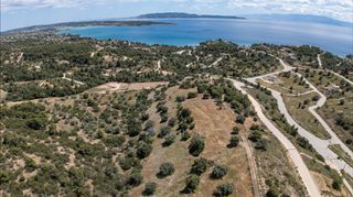 Αγροτεμάχια 8.000 τ.μ. για πώληση, Αργολίδα, Κρανίδι-thumb-9