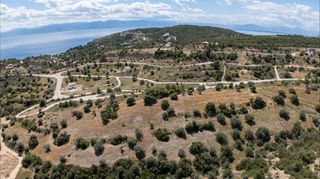 Αγροτεμάχια 8.000 τ.μ. για πώληση, Αργολίδα, Κρανίδι-thumb-5