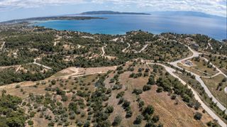 Αγροτεμάχια 8.000 τ.μ. για πώληση, Αργολίδα, Κρανίδι-thumb-15