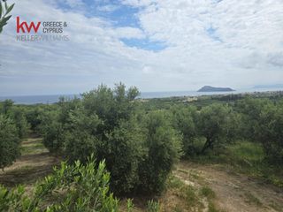 Οικόπεδο 1.067 τ.μ. προς πώληση, Μόδι Πλατανιά-thumb-1