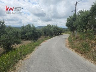 Οικόπεδο 1.067 τ.μ. προς πώληση, Μόδι Πλατανιά-thumb-3