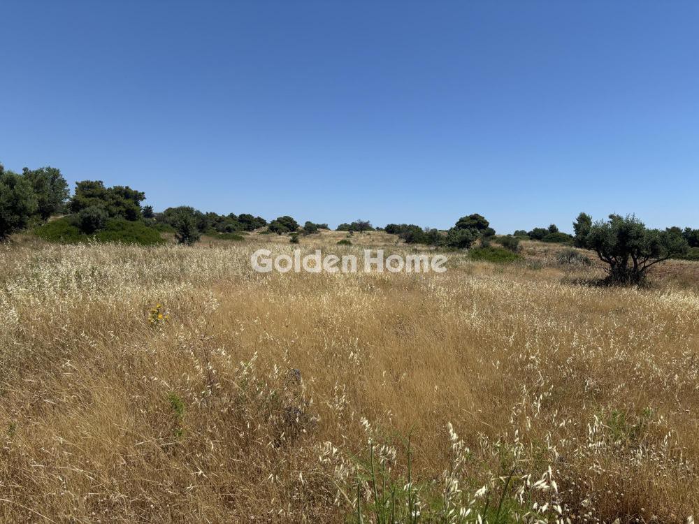 Αγροτεμάχια 2.386 τ.μ. προς πώληση, Κέντρο Πικερμίου
