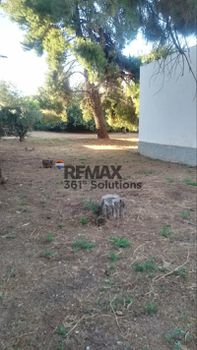 Οικόπεδο 764 τ.μ. πρός πώληση