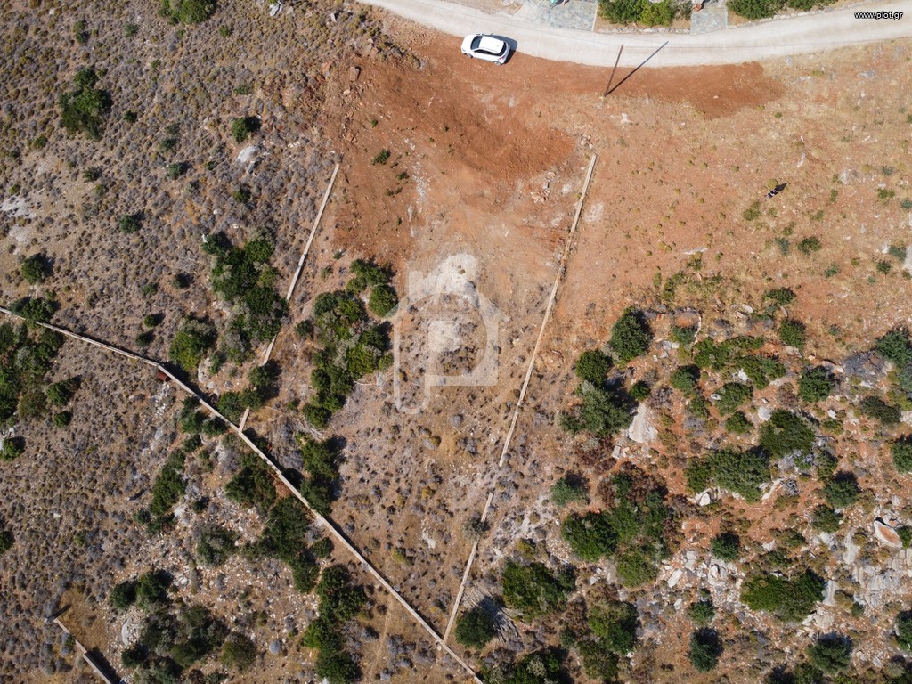 Οικόπεδο 814 τ.μ. προς πώληση, Ελαφολίμανο