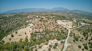 Αγροτεμάχια 7.622 τ.μ. για πώληση, Αργολίδα, Κρανίδι-thumb-3