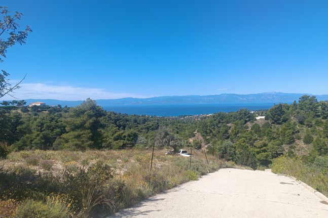 Αγροτεμάχια 7.622 τ.μ. για πώληση, Αργολίδα, Κρανίδι