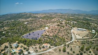 Αγροτεμάχια 7.622 τ.μ. για πώληση, Αργολίδα, Κρανίδι-thumb-1