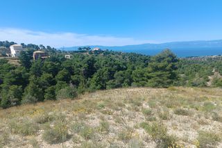Αγροτεμάχια 7.622 τ.μ. για πώληση, Αργολίδα, Κρανίδι-thumb-11