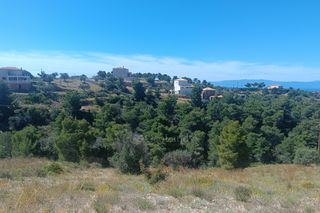 Αγροτεμάχια 7.622 τ.μ. για πώληση, Αργολίδα, Κρανίδι-thumb-9