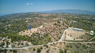 Αγροτεμάχια 7.622 τ.μ. για πώληση, Αργολίδα, Κρανίδι-thumb-2