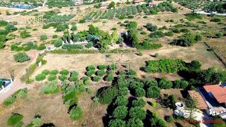 Οικόπεδο 4.695 τ.μ. για πώληση, Αργολίδα, Ερμιόνη-thumb-4
