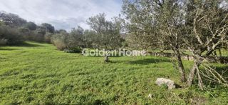 Αγροτεμάχια 1.000 τ.μ. για πώληση