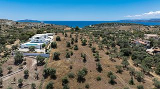 Αγροτεμάχια 5.306 τ.μ. για πώληση