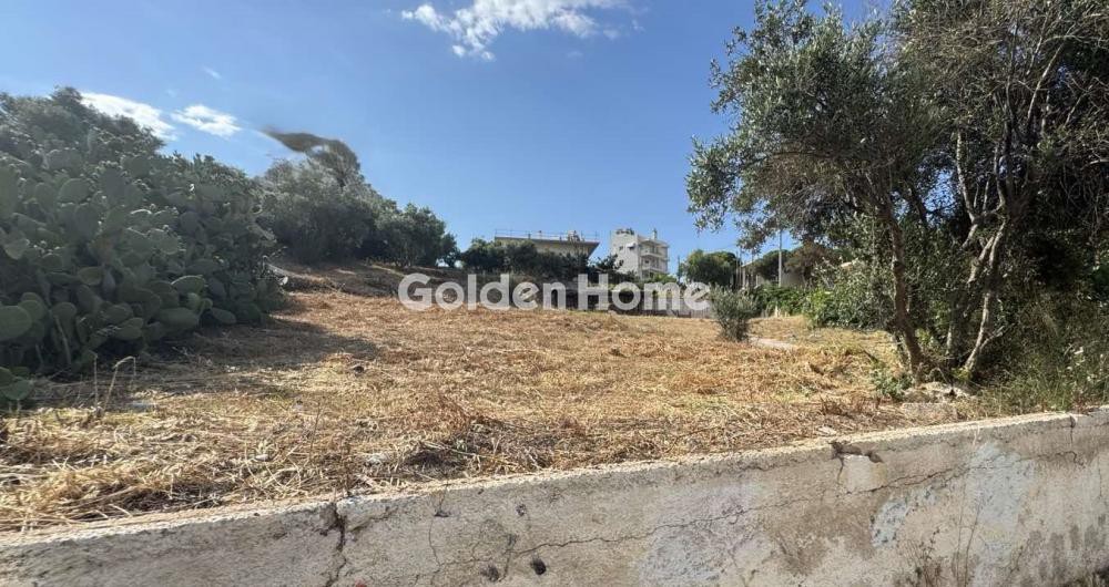 Οικόπεδο 1.500 τ.μ. προς πώληση, Κέντρο Ραφήνας