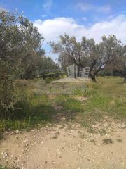 Οικόπεδο 1.500 τ.μ. για πώληση