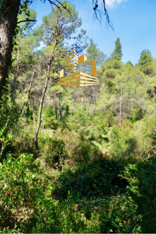 Οικόπεδο 2.004 τ.μ. προς πώληση, Αφίδνες