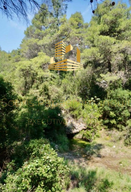 Οικόπεδο 2.004 τ.μ. προς πώληση, Αφίδνες