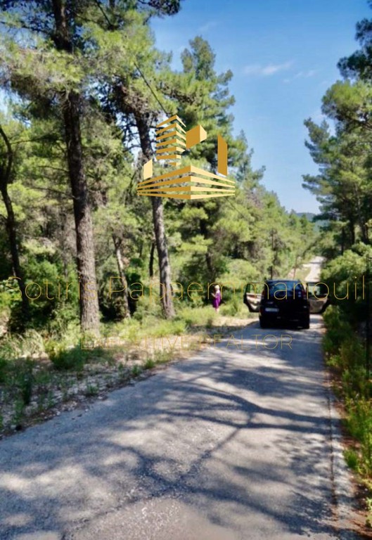 Οικόπεδο 2.004 τ.μ. προς πώληση, Αφίδνες