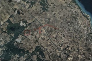 Οικόπεδο 12.000 τ.μ. για πώληση