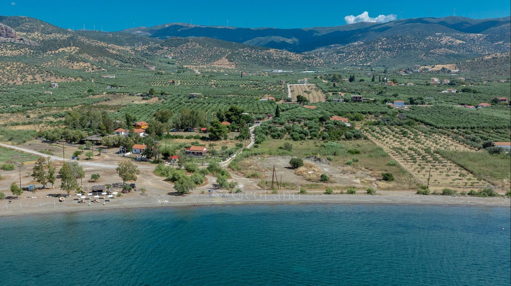 Επιχείρηση 12.069 τ.μ. πρός πώληση, Αργολίδα, Ερμιόνη