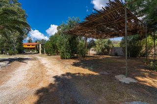 Επιχείρηση 12.069 τ.μ. προς πώληση, Θερμησία-thumb-9