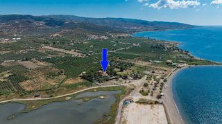 Επιχείρηση 12.069 τ.μ. προς πώληση, Θερμησία-thumb-3