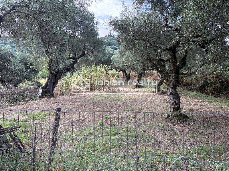 Οικόπεδο 2.035 τ.μ. προς πώληση, Μέσο Γερακάρι
