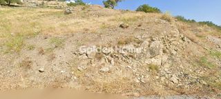 Αγροτεμάχια 6.500 τ.μ. για πώληση