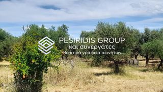Μονοκατοικία 107 τ.μ. για πώληση, Μεσσηνία, Μεσσήνη-thumb-19