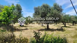 Μονοκατοικία 107 τ.μ. για πώληση, Μεσσηνία, Μεσσήνη-thumb-20