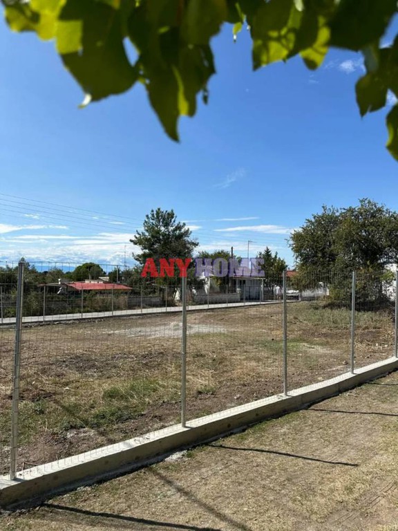 Αγροτεμάχια 648 τ.μ. προς πώληση, Λάκκωμα Καλλικράτειας