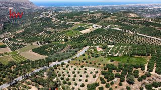 Οικόπεδο 4.655,24 τ.μ. για πώληση
