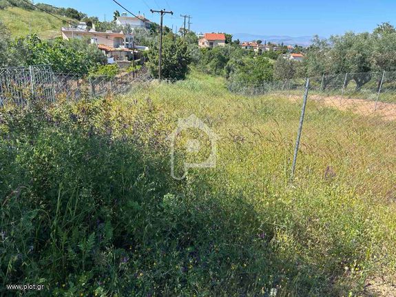 Parcel 882 sqm for sale, Evia, Avlida