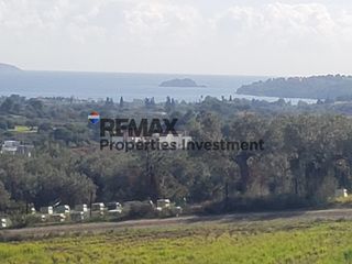 Αγροτεμάχια 60.000 τ.μ. για πώληση