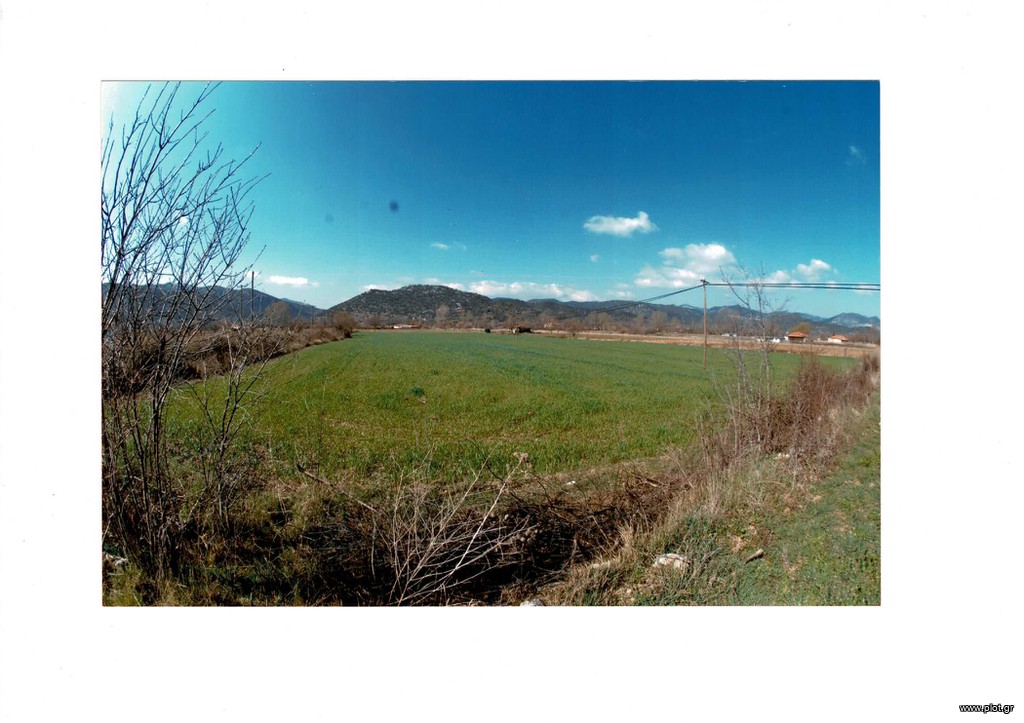 Αγροτεμάχια 17.000 τ.μ. πρός πώληση, Αρκαδία, Φάλανθος