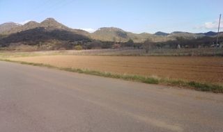 Αγροτεμάχια 17.000 τ.μ. προς πώληση, Κάτω Δαβιά-thumb-2