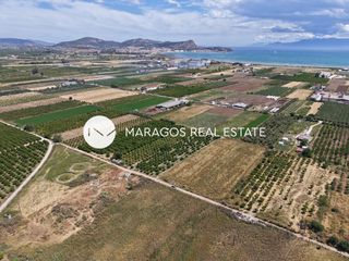 Αγροτεμάχια 7.116 τ.μ. για πώληση, Αργολίδα, Άργος-thumb-4