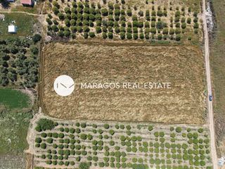 Αγροτεμάχια 7.116 τ.μ. για πώληση, Αργολίδα, Άργος-thumb-5