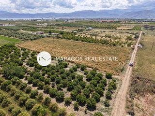 Αγροτεμάχια 7.116 τ.μ. για πώληση, Αργολίδα, Άργος-thumb-13