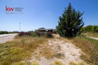 Κατάστημα 60 τ.μ. για ενοικίαση, Αργολίδα, Μιδέα-thumb-39
