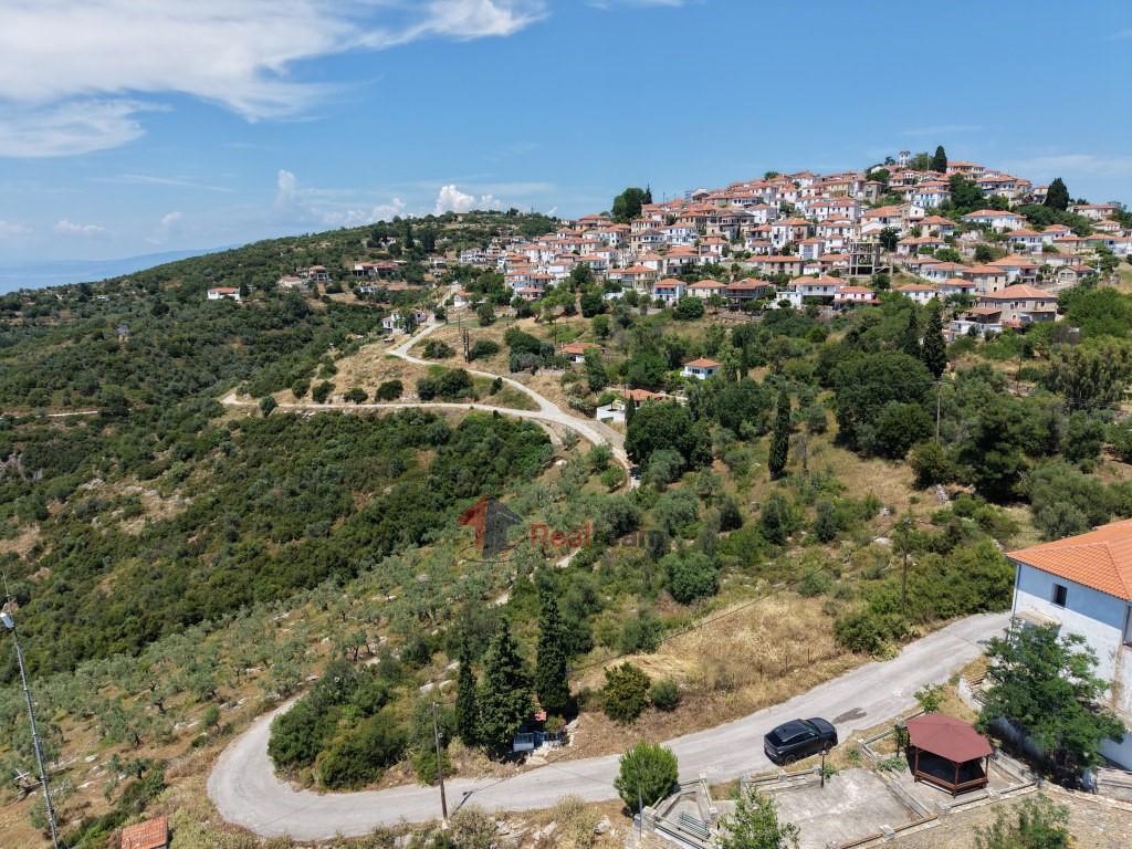 Οικόπεδο 4.450 τ.μ. πρός πώληση, Μαγνησία, Τρικέρι