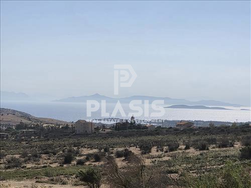 Μονοκατοικία 480 τ.μ. προς ενοικίαση, Λαγονήσι